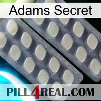 Adams Secret 07
